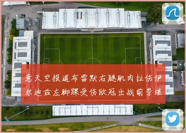 意天空报道布雷默右腿肌肉拉伤伊尔迪兹左脚踝受伤欧冠出战前景堪忧